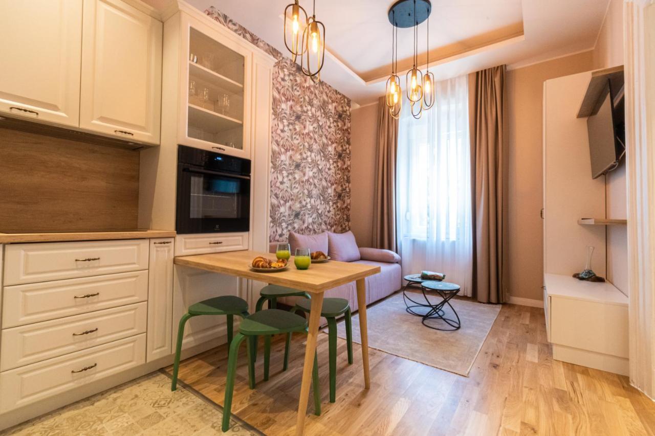 Black Gate - Quiet Studio In The Heart Of Old Town With Free Private Secured Parking 布拉索夫 外观 照片