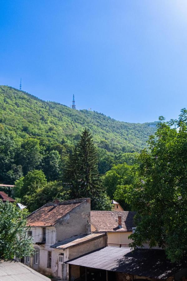 Black Gate - Quiet Studio In The Heart Of Old Town With Free Private Secured Parking 布拉索夫 外观 照片