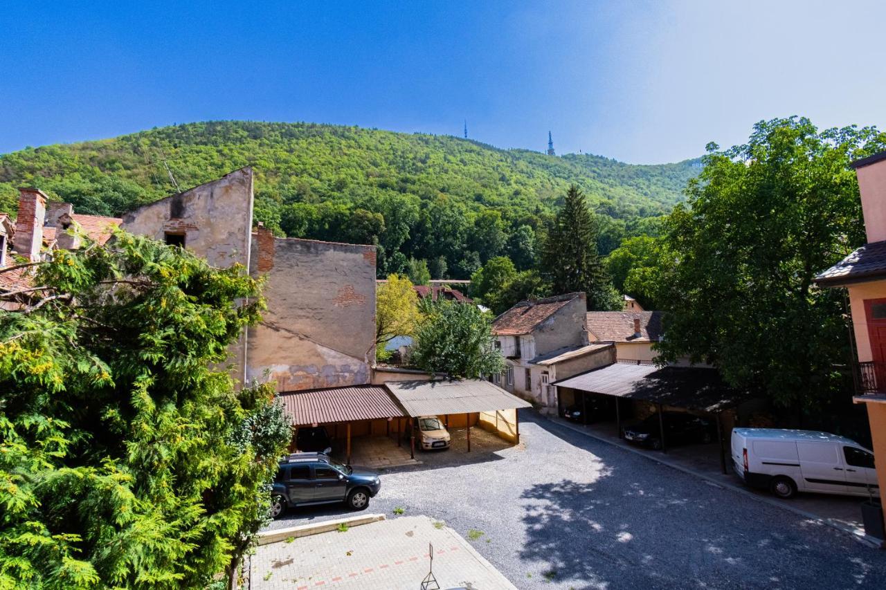 Black Gate - Quiet Studio In The Heart Of Old Town With Free Private Secured Parking 布拉索夫 外观 照片